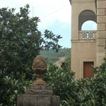 Tazarina is swapping clothes online from Wolverhampton, West Midlands