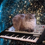 space_cat is swapping clothes online from 