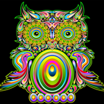 jennyjen613 is swapping clothes online from fl