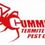 Cummings Termite & Pest Control is swapping clothes online from Fountain Hills, AZ