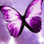 Blksista2 is swapping clothes online from Hutto, Texas