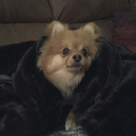 moonraven is swapping clothes online from Crestview, Fl