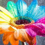 Ali3 is swapping clothes online from 