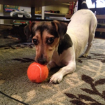 staygoldfonz is swapping clothes online from 