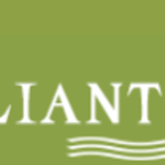 brilliantsites is swapping clothes online from 