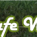 safewebsitez is swapping clothes online from 