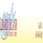 libardiisland is swapping clothes online from 