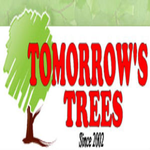 tomorrowstrees is swapping clothes online from 