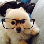 muraljewel is swapping clothes online from seattle, wa