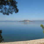 loose lips is swapping clothes online from 