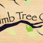 On a Limb Tree Care is swapping clothes online from Albany, New York