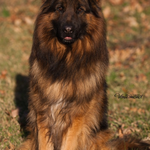 Frost K is swapping clothes online from Hartville, OH