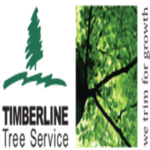 Timberline Tree Service is swapping clothes online from White Bear Lake, MN