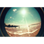 purpledaisy is swapping clothes online from 