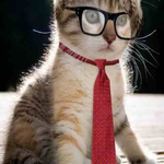 hunnybunch is swapping clothes online from lakewood, CA