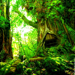 Gypsy Witch is swapping clothes online from n ft myers, fl