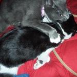 Lady L is swapping clothes online from 404 baby!, GA