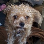 chacha13 is swapping clothes online from 