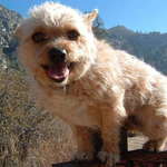 beemer is swapping clothes online from 