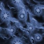 Kalthia  is swapping clothes online from Washington, DC