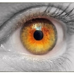 Edelynn  is swapping clothes online from Grand Rapids, MI