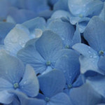 emilyb is swapping clothes online from 