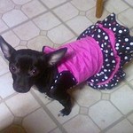 Cynthia  is swapping clothes online from Lewisville, Texas