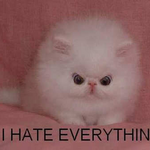 kmm1 is swapping clothes online from 