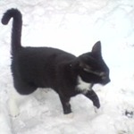 Rhoda Elise  is swapping clothes online from 