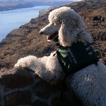 Andrea F is swapping clothes online from Nevada City, CA