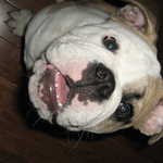 shayjay is swapping clothes online from 