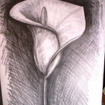 Jolie  is swapping clothes online from 