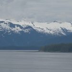 dnelte is swapping clothes online from 