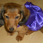 Sarah is swapping clothes online from Jackson, Michigan