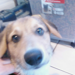 Marj is swapping clothes online from San Jose, CA