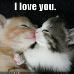 cupcakegrrrl is swapping clothes online from 