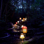 Rachel  is swapping clothes online from Asheville, NC