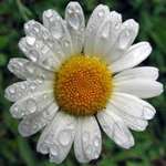 simplywholistic is swapping clothes online from 