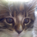 Cindy Soiett is swapping clothes online from Chelsea, ME