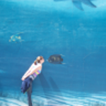 KaLkickfly is swapping clothes online from sarasota, florida