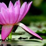 christibbyxo is swapping clothes online from 