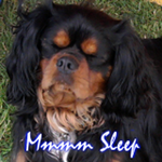 xfaithx is swapping clothes online from 