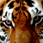 ModernSimplicity is swapping clothes online from Frisco, TX