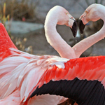 bmacintyre is swapping clothes online from 