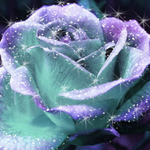 Karissa is swapping clothes online from Central Point, OR