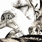 Kiwi_SKM is swapping clothes online from Granbury, Texas