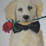 KikiGu3 is swapping clothes online from Calverton, NY