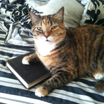 Morwynn is swapping clothes online from 