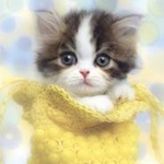 Chloe B is swapping clothes online from Furlong, PA