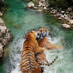 Maliboo is swapping clothes online from tampa, fl